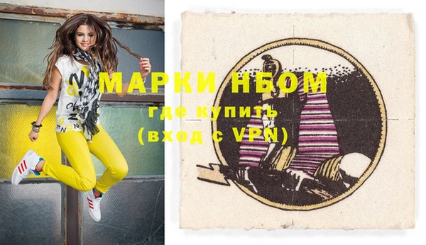 шишки Михайловск