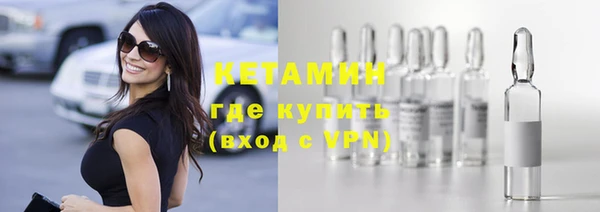 шишки Михайловск