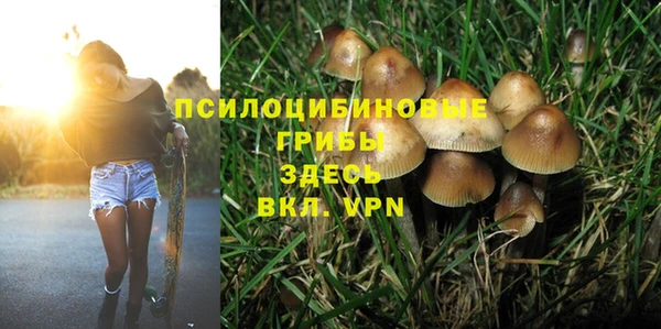 шишки Михайловск