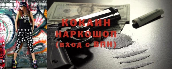 шишки Михайловск