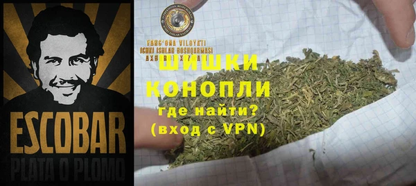 шишки Михайловск